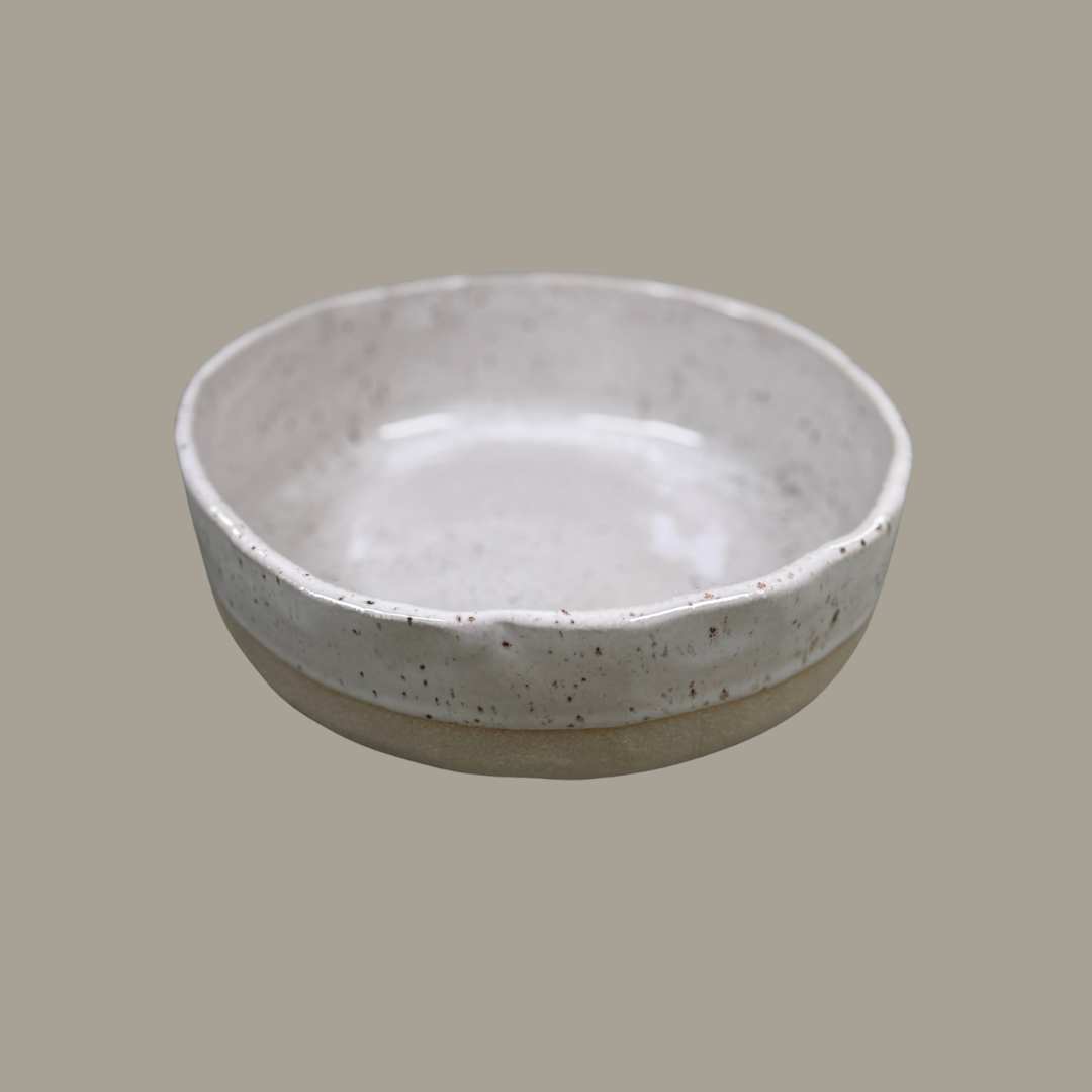 Bowls Glossy Speckles