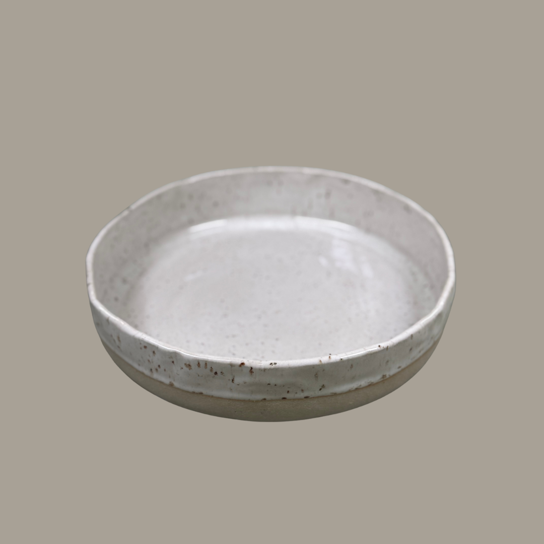 Bowls Glossy Speckles