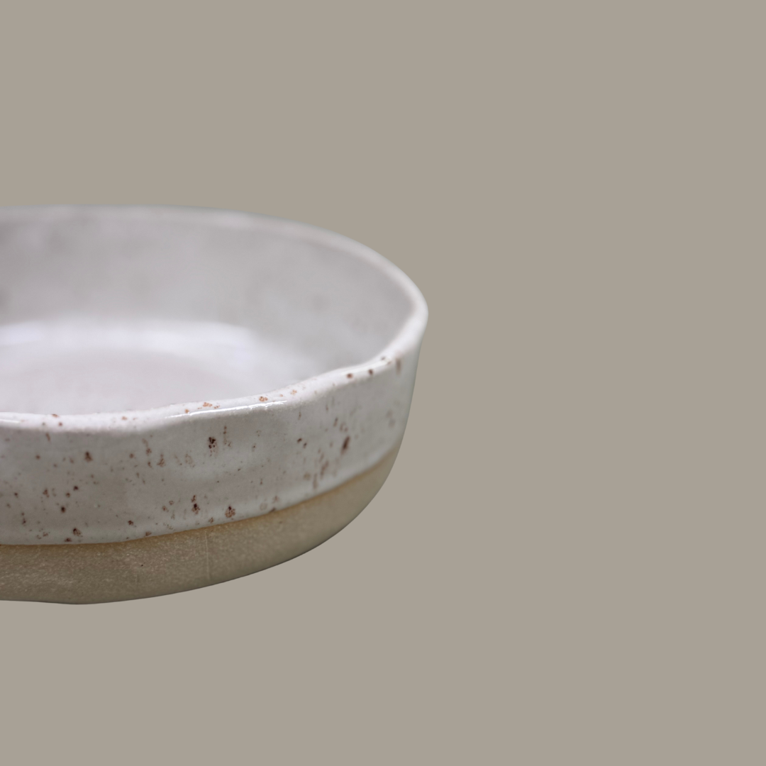 Bowls Glossy Speckles